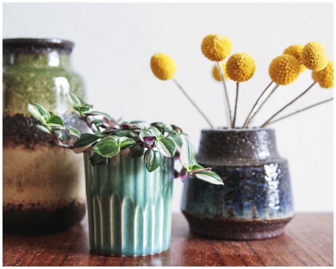 Иллюстрация к книге — Urban Jungle. Как создать уютный интерьер с помощью растений [i_166.jpg]