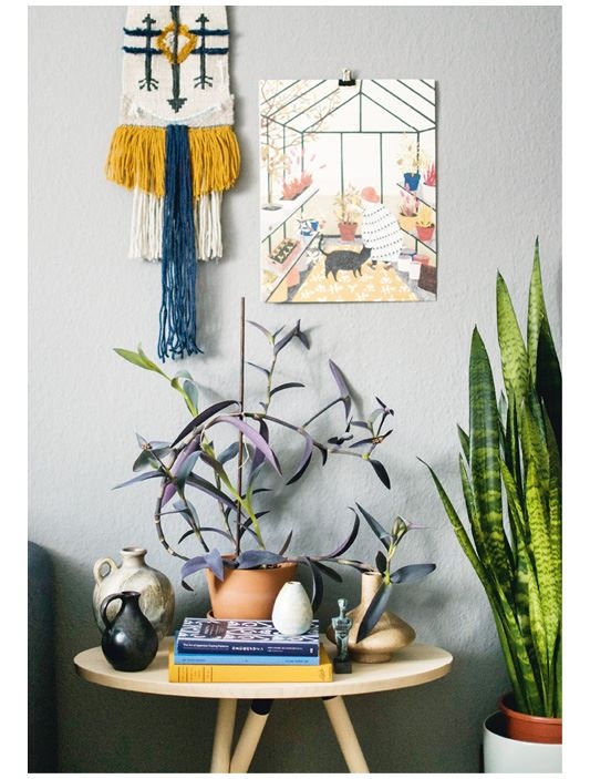 Иллюстрация к книге — Urban Jungle. Как создать уютный интерьер с помощью растений [i_167.jpg]