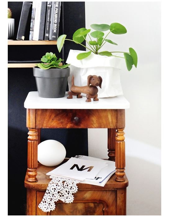 Иллюстрация к книге — Urban Jungle. Как создать уютный интерьер с помощью растений [i_178.jpg]