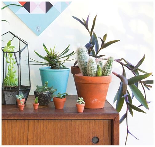 Иллюстрация к книге — Urban Jungle. Как создать уютный интерьер с помощью растений [i_182.jpg]