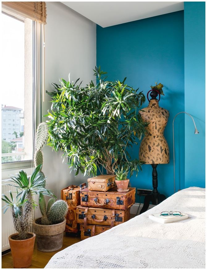 Иллюстрация к книге — Urban Jungle. Как создать уютный интерьер с помощью растений [i_194.jpg]