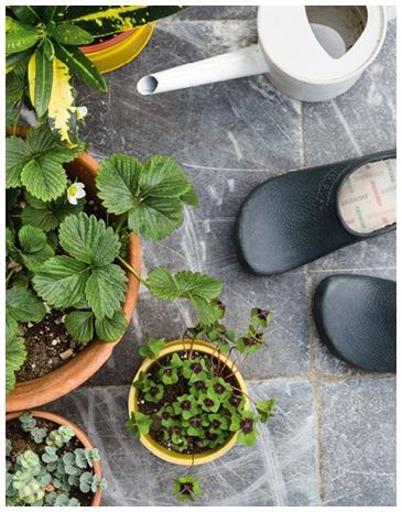 Иллюстрация к книге — Urban Jungle. Как создать уютный интерьер с помощью растений [i_202.jpg]