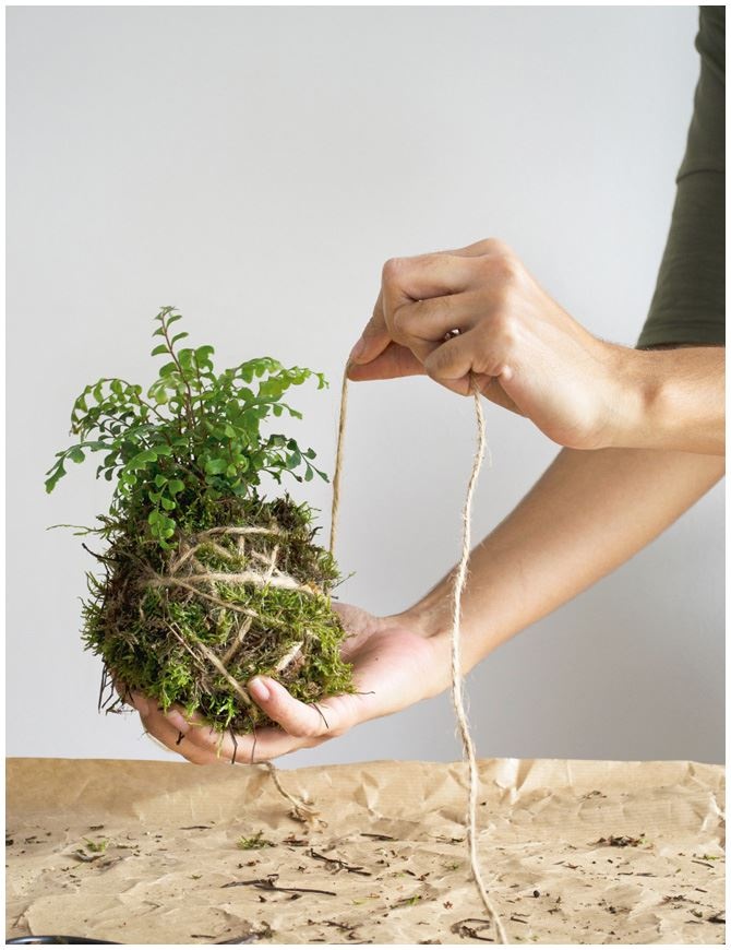 Иллюстрация к книге — Urban Jungle. Как создать уютный интерьер с помощью растений [i_204.jpg]