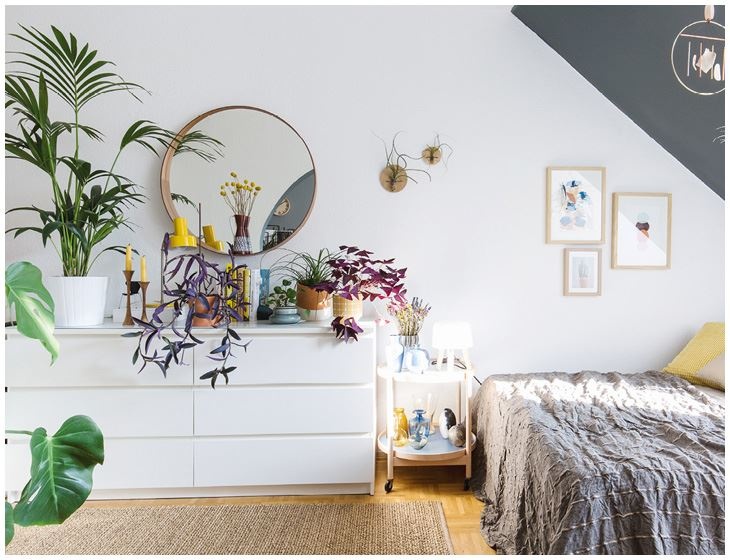 Иллюстрация к книге — Urban Jungle. Как создать уютный интерьер с помощью растений [i_212.jpg]