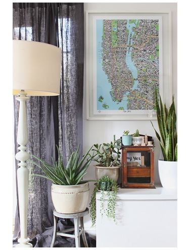 Иллюстрация к книге — Urban Jungle. Как создать уютный интерьер с помощью растений [i_216.jpg]