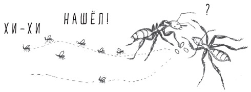 Иллюстрация к книге — Может ли жираф облизать свои уши? [i_003.jpg]