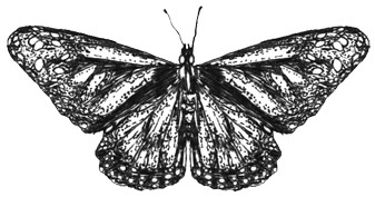 Иллюстрация к книге — Может ли жираф облизать свои уши? [i_011.jpg]