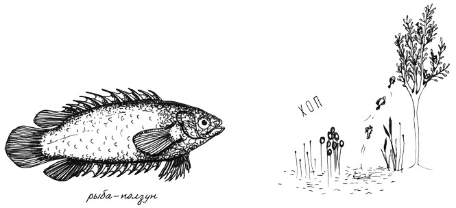 Иллюстрация к книге — Может ли жираф облизать свои уши? [i_017.jpg]