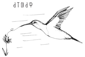 Иллюстрация к книге — Может ли жираф облизать свои уши? [i_023.jpg]