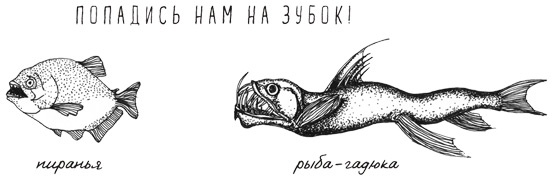 Иллюстрация к книге — Может ли жираф облизать свои уши? [i_026.jpg]