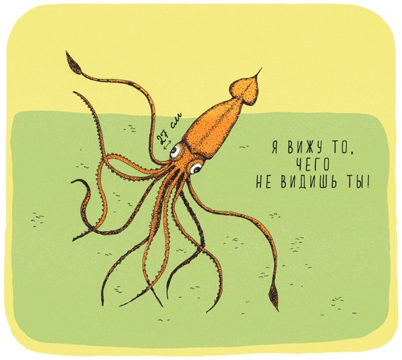 Иллюстрация к книге — Может ли жираф облизать свои уши? [i_029.jpg]