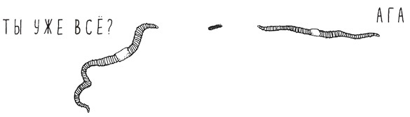 Иллюстрация к книге — Может ли жираф облизать свои уши? [i_030.jpg]