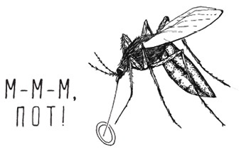 Иллюстрация к книге — Может ли жираф облизать свои уши? [i_031.jpg]