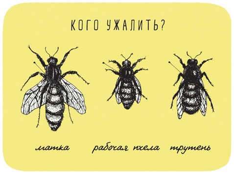 Иллюстрация к книге — Может ли жираф облизать свои уши? [i_041.jpg]