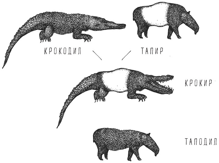 Иллюстрация к книге — Может ли жираф облизать свои уши? [i_044.jpg]