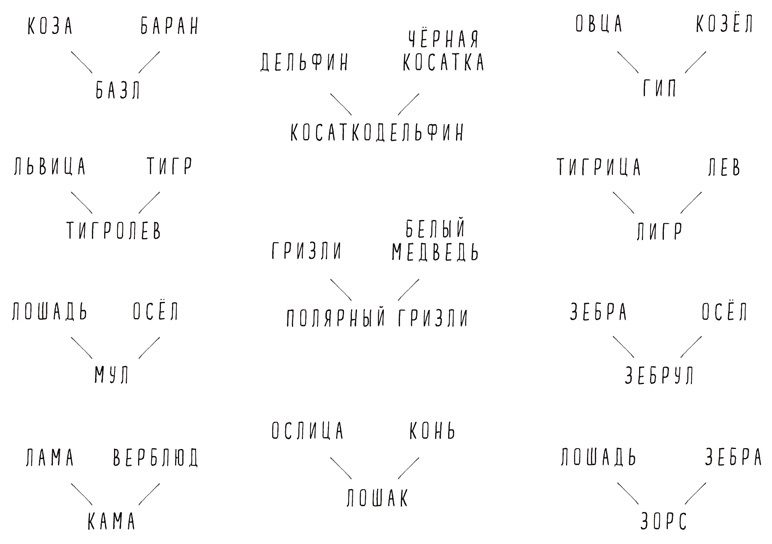 Иллюстрация к книге — Может ли жираф облизать свои уши? [i_045.jpg]