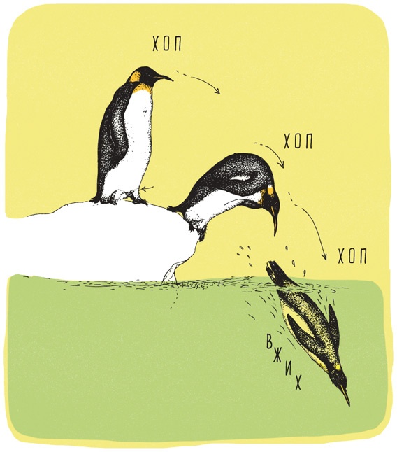 Иллюстрация к книге — Может ли жираф облизать свои уши? [i_046.jpg]