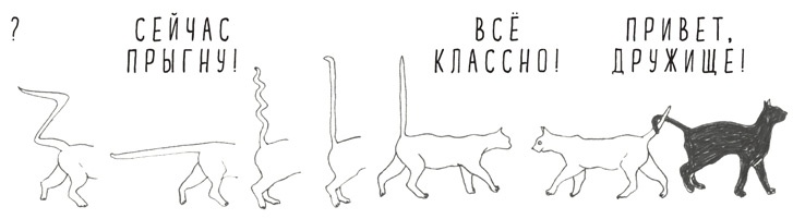 Иллюстрация к книге — Может ли жираф облизать свои уши? [i_047.jpg]