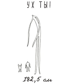 Иллюстрация к книге — Может ли жираф облизать свои уши? [i_081.jpg]