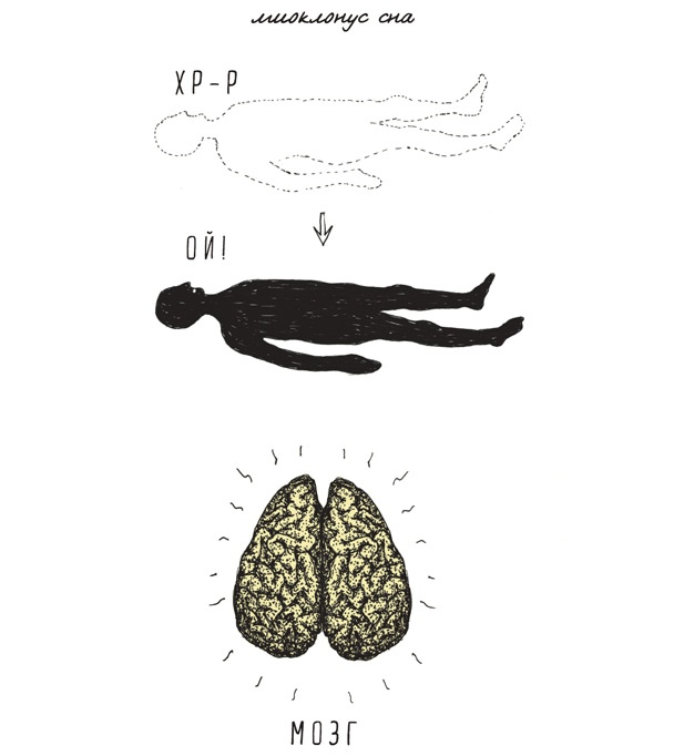 Иллюстрация к книге — Может ли жираф облизать свои уши? [i_083.jpg]