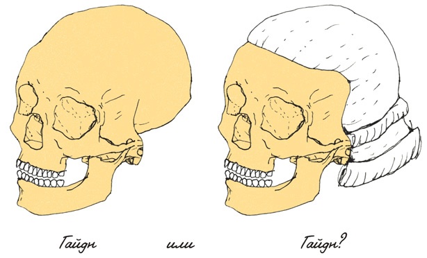 Иллюстрация к книге — Может ли жираф облизать свои уши? [i_125.jpg]