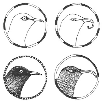 Иллюстрация к книге — Может ли жираф облизать свои уши? [i_133.jpg]