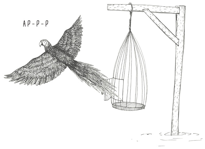 Иллюстрация к книге — Может ли жираф облизать свои уши? [i_142.jpg]