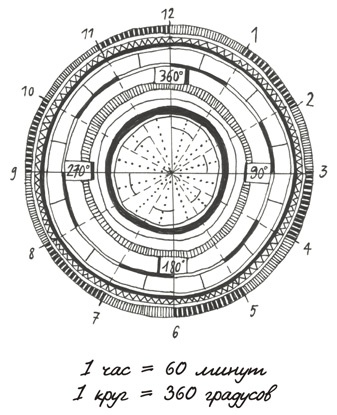 Иллюстрация к книге — Может ли жираф облизать свои уши? [i_164.jpg]