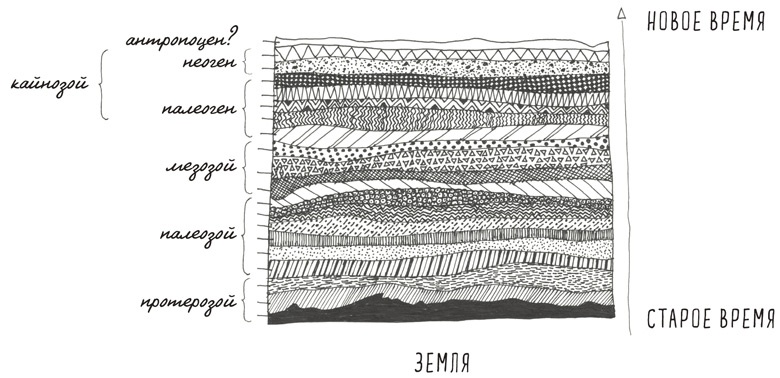 Иллюстрация к книге — Может ли жираф облизать свои уши? [i_167.jpg]