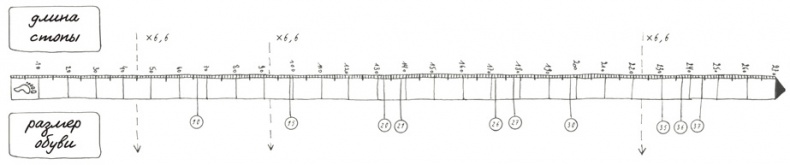 Иллюстрация к книге — Может ли жираф облизать свои уши? [i_170.jpg]