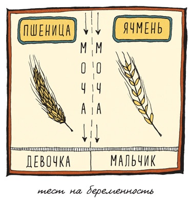 Иллюстрация к книге — Может ли жираф облизать свои уши? [i_171.jpg]
