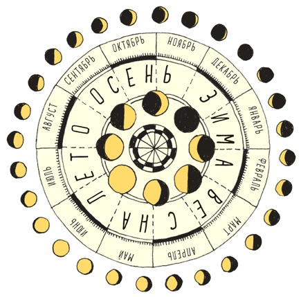 Иллюстрация к книге — Может ли жираф облизать свои уши? [i_173.jpg]