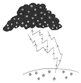 Иллюстрация к книге — Может ли жираф облизать свои уши? [i_186.jpg]