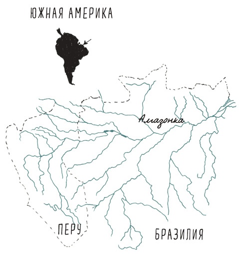 Иллюстрация к книге — Может ли жираф облизать свои уши? [i_193.jpg]