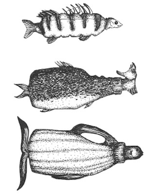 Иллюстрация к книге — Может ли жираф облизать свои уши? [i_195.jpg]