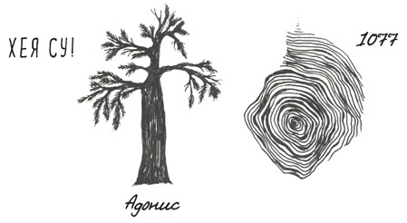 Иллюстрация к книге — Может ли жираф облизать свои уши? [i_200.jpg]