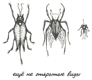 Иллюстрация к книге — Может ли жираф облизать свои уши? [i_206.jpg]