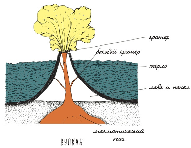Иллюстрация к книге — Может ли жираф облизать свои уши? [i_207.jpg]