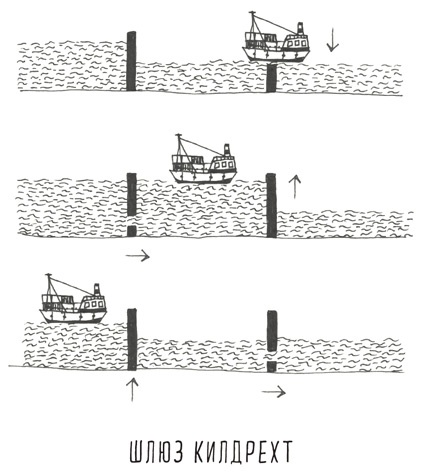 Иллюстрация к книге — Может ли жираф облизать свои уши? [i_208.jpg]