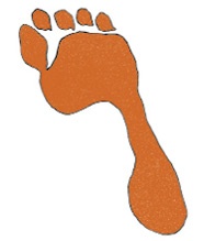 Иллюстрация к книге — Может ли жираф облизать свои уши? [i_210.jpg]