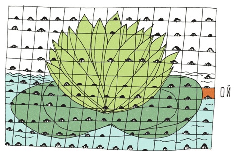 Иллюстрация к книге — Может ли жираф облизать свои уши? [i_214.jpg]