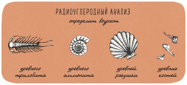 Иллюстрация к книге — Может ли жираф облизать свои уши? [i_239.jpg]