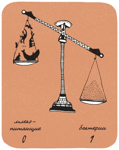 Иллюстрация к книге — Может ли жираф облизать свои уши? [i_240.jpg]