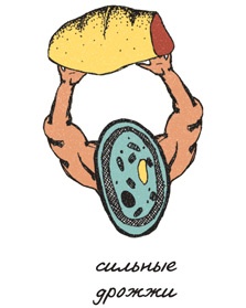 Иллюстрация к книге — Может ли жираф облизать свои уши? [i_249.jpg]