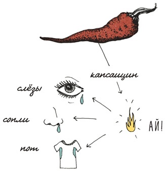 Иллюстрация к книге — Может ли жираф облизать свои уши? [i_261.jpg]