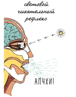 Иллюстрация к книге — Может ли жираф облизать свои уши? [i_271.jpg]
