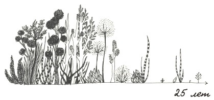 Иллюстрация к книге — Может ли жираф облизать свои уши? [i_300.jpg]