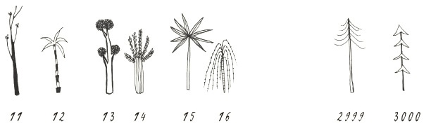 Иллюстрация к книге — Может ли жираф облизать свои уши? [i_306.jpg]