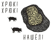 Иллюстрация к книге — Может ли жираф облизать свои уши? [i_316.jpg]