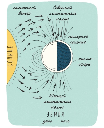 Иллюстрация к книге — Может ли жираф облизать свои уши? [i_349.jpg]